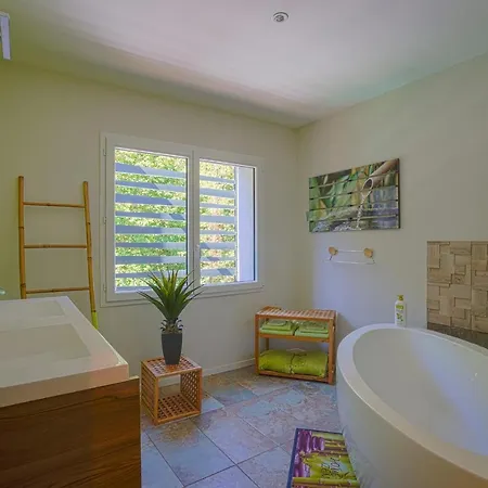 Dandelion Gorges Du Tarn Piscine Jacuzzi Riviere Vue Exceptionnelle Nature Design Mostuéjouls